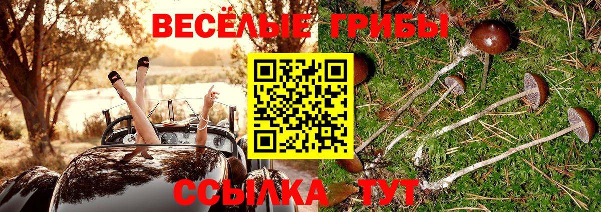 Псилоцибиновые грибы ЛСД Нефтеюганск