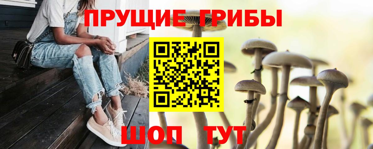 Псилоцибиновые грибы мухоморы  Вход с VPN  Нефтеюганск  купить наркотик  Галлюциногенные грибы GOLDEN TEACHER 
